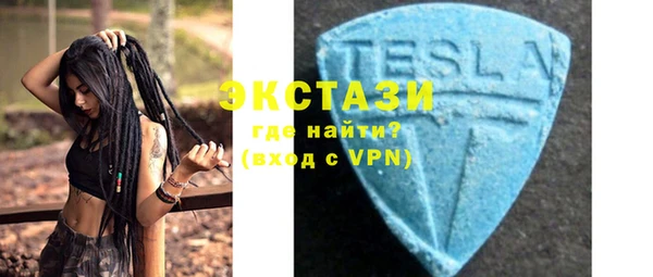 индика Алексин
