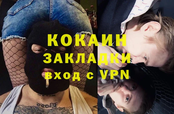 индика Алексин