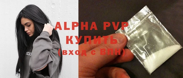 индика Алексин