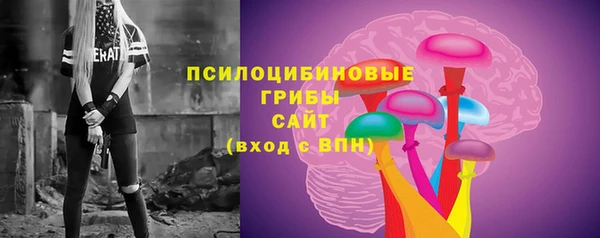 индика Алексин
