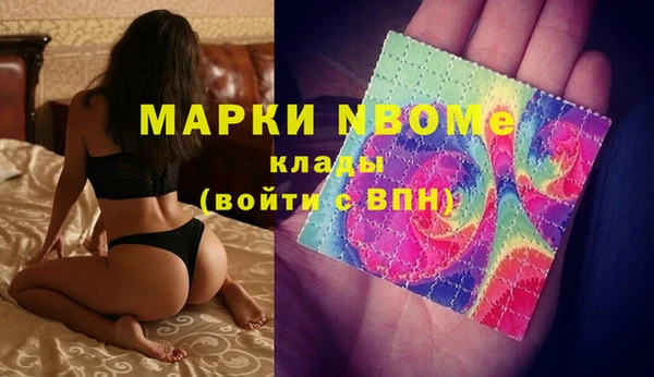 индика Алексин