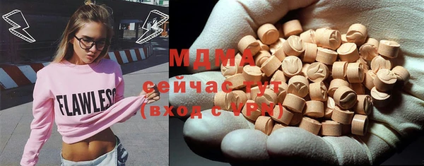 индика Алексин