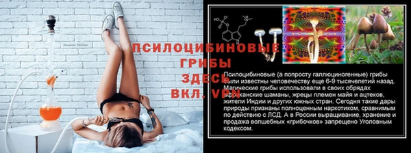 индика Алексин