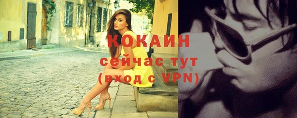 индика Алексин