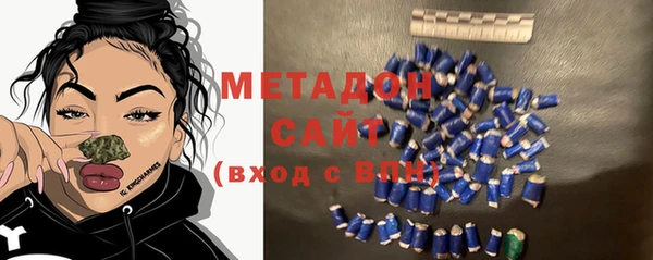 индика Алексин