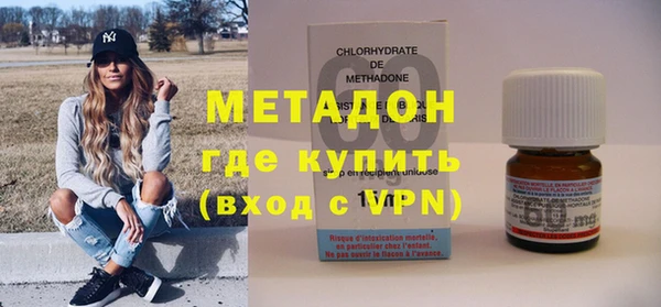 индика Алексин